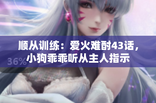 顺从训练：爱火难酎43话，小狗乖乖听从主人指示