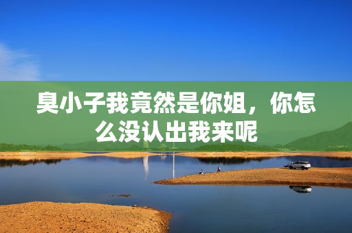 臭小子我竟然是你姐，你怎么没认出我来呢