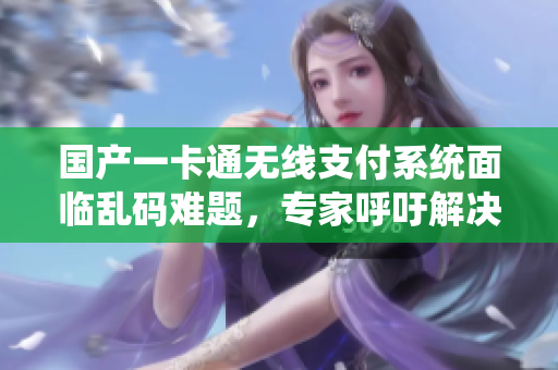 国产一卡通无线支付系统面临乱码难题，专家呼吁解决。