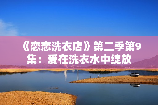《恋恋洗衣店》第二季第9集：爱在洗衣水中绽放