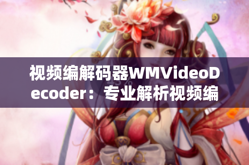 视频编解码器WMVideoDecoder：专业解析视频编码格式