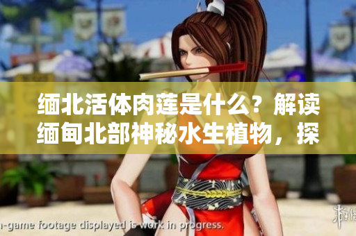 缅北活体肉莲是什么？解读缅甸北部神秘水生植物，探寻其神奇之处