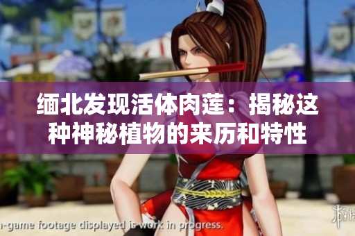 缅北发现活体肉莲：揭秘这种神秘植物的来历和特性