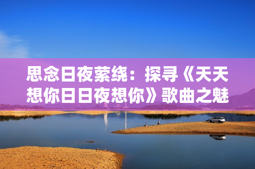 思念日夜萦绕：探寻《天天想你日日夜想你》歌曲之魅力