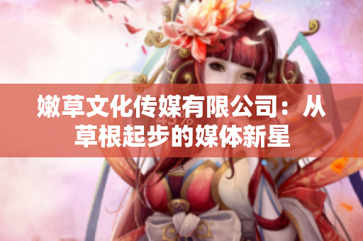 嫩草文化传媒有限公司：从草根起步的媒体新星