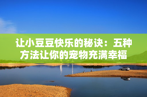 让小豆豆快乐的秘诀：五种方法让你的宠物充满幸福