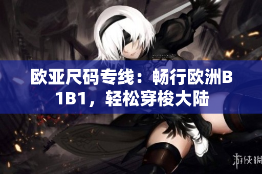 欧亚尺码专线：畅行欧洲B1B1，轻松穿梭大陆