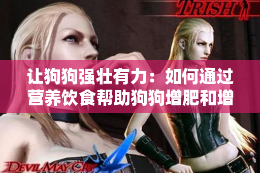 让狗狗强壮有力：如何通过营养饮食帮助狗狗增肥和增强食欲