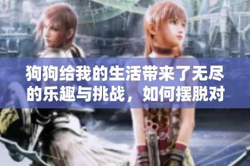狗狗给我的生活带来了无尽的乐趣与挑战，如何摆脱对它们的沉迷？