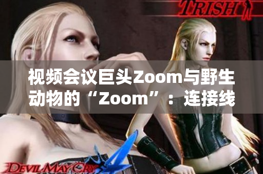 视频会议巨头Zoom与野生动物的“Zoom”：连接线上与线下的相遇