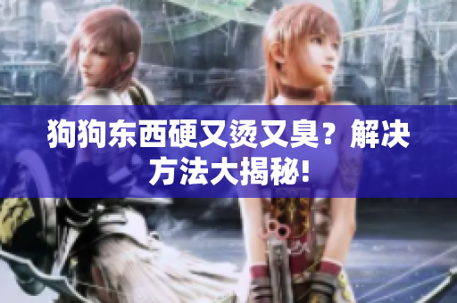 狗狗东西硬又烫又臭？解决方法大揭秘!