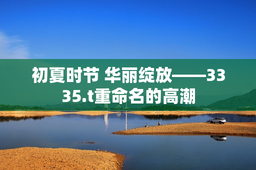 初夏时节 华丽绽放——3335.t重命名的高潮