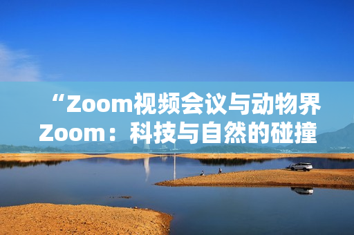 “Zoom视频会议与动物界Zoom：科技与自然的碰撞”
