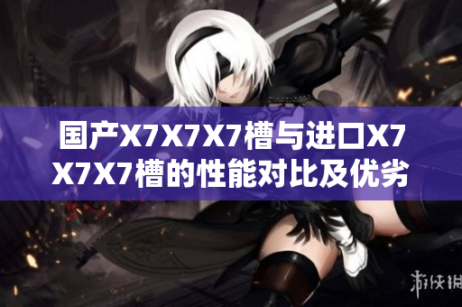 国产X7X7X7槽与进口X7X7X7槽的性能对比及优劣势初探