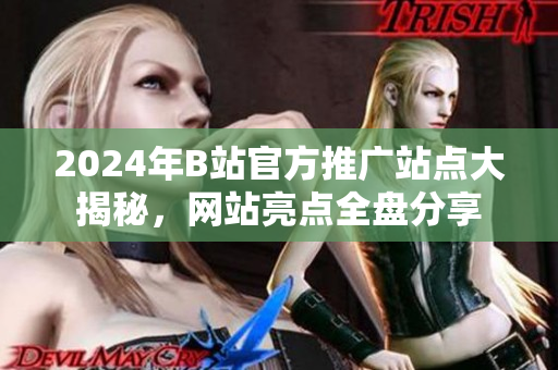2024年B站官方推广站点大揭秘，网站亮点全盘分享