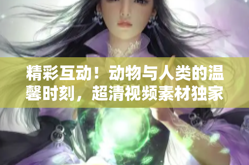 精彩互动！动物与人类的温馨时刻，超清视频素材独家提供