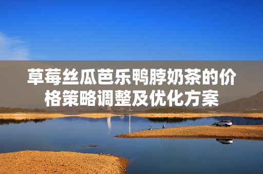 草莓丝瓜芭乐鸭脖奶茶的价格策略调整及优化方案