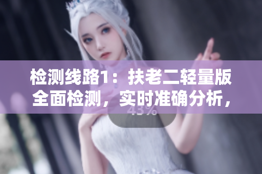检测线路1：扶老二轻量版全面检测，实时准确分析，保障安全行车