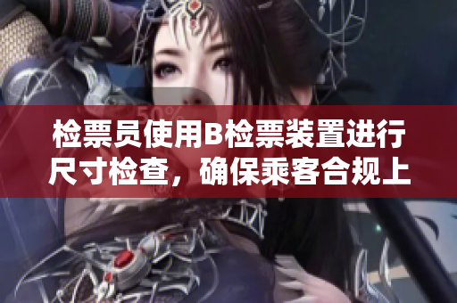 检票员使用B检票装置进行尺寸检查，确保乘客合规上车