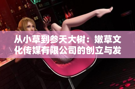 从小草到参天大树：嫩草文化传媒有限公司的创立与发展