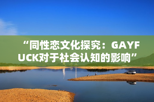“同性恋文化探究：GAYFUCK对于社会认知的影响”