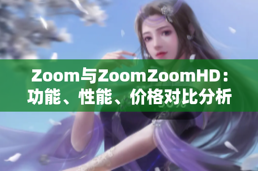 Zoom与ZoomZoomHD：功能、性能、价格对比分析