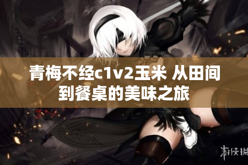 青梅不经c1v2玉米 从田间到餐桌的美味之旅