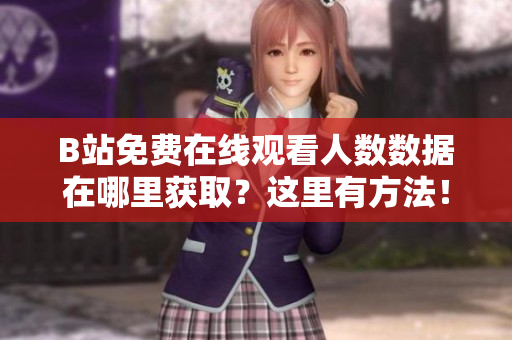 B站免费在线观看人数数据在哪里获取？这里有方法！