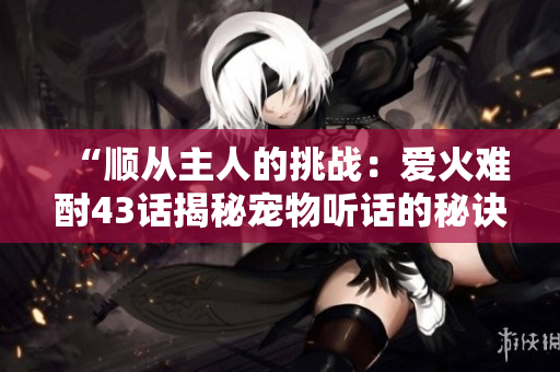 “顺从主人的挑战：爱火难酎43话揭秘宠物听话的秘诀”