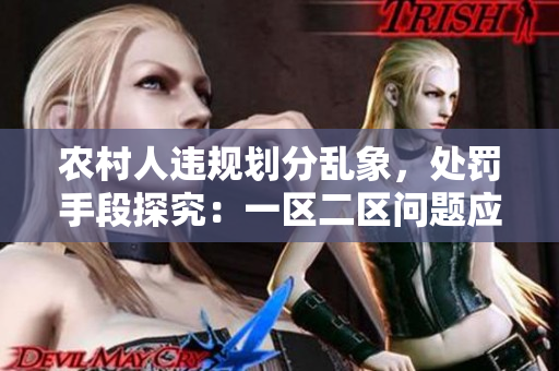 农村人违规划分乱象，处罚手段探究：一区二区问题应对