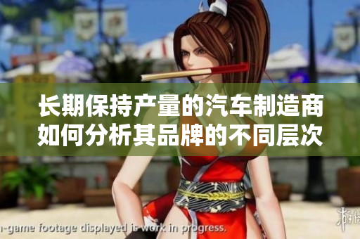 长期保持产量的汽车制造商如何分析其品牌的不同层次？