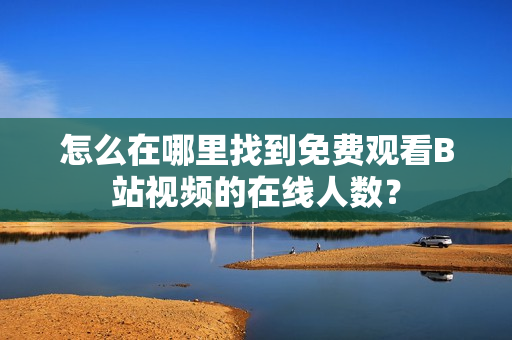怎么在哪里找到免费观看B站视频的在线人数？
