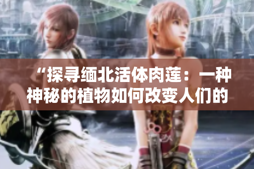 “探寻缅北活体肉莲：一种神秘的植物如何改变人们的生活？”