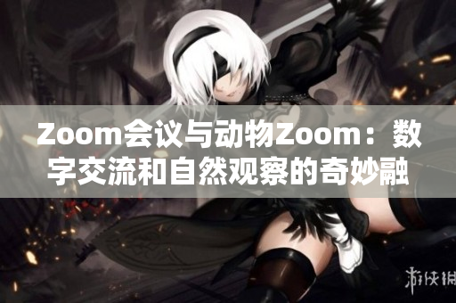 Zoom会议与动物Zoom：数字交流和自然观察的奇妙融合