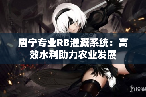 唐宁专业RB灌溉系统：高效水利助力农业发展