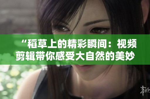 “稻草上的精彩瞬间：视频剪辑带你感受大自然的美妙”