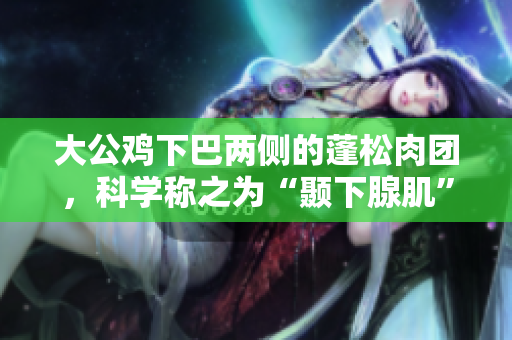 大公鸡下巴两侧的蓬松肉团，科学称之为“颞下腺肌”。