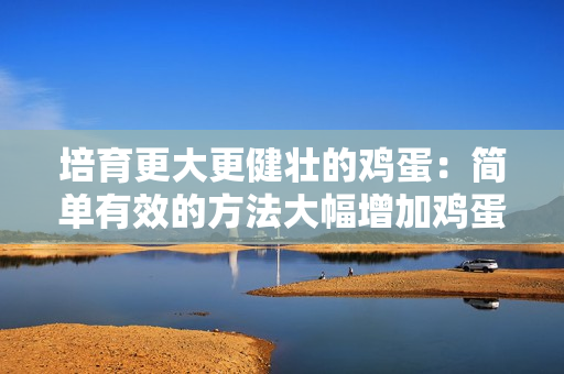 培育更大更健壮的鸡蛋：简单有效的方法大幅增加鸡蛋大小与品质
