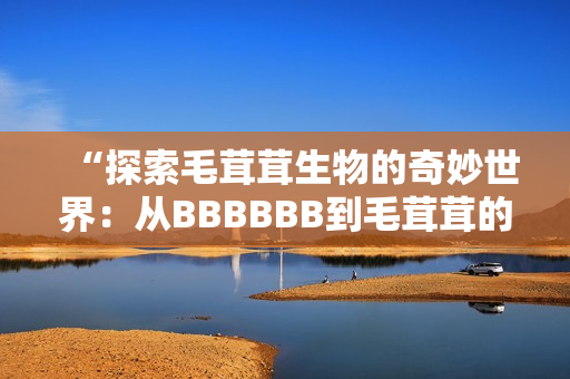 “探索毛茸茸生物的奇妙世界：从BBBBBB到毛茸茸的神秘探索”
