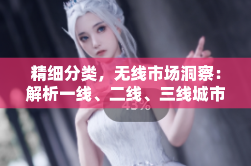 精细分类，无线市场洞察：解析一线、二线、三线城市的消费趋势