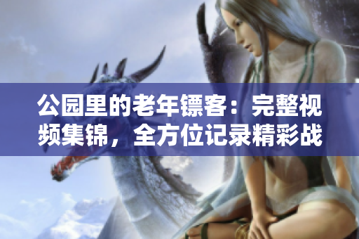 公园里的老年镖客：完整视频集锦，全方位记录精彩战斗