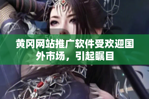 黄冈网站推广软件受欢迎国外市场，引起瞩目