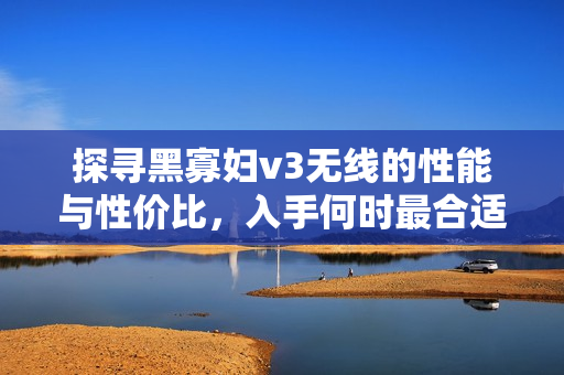 探寻黑寡妇v3无线的性能与性价比，入手何时最合适？