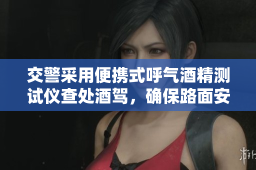 交警采用便携式呼气酒精测试仪查处酒驾，确保路面安全