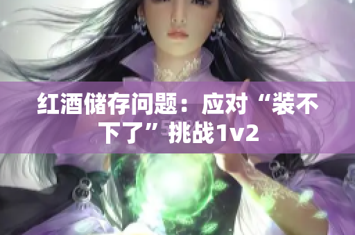 红酒储存问题：应对“装不下了”挑战1v2