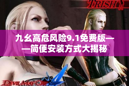 九幺高危风险9.1免费版——简便安装方式大揭秘