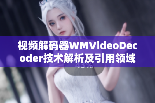 视频解码器WMVideoDecoder技术解析及引用领域探讨