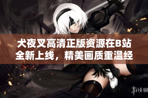 犬夜叉高清正版资源在B站全新上线，精美画质重温经典动漫享受视听盛宴