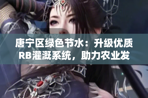 唐宁区绿色节水：升级优质RB灌溉系统，助力农业发展