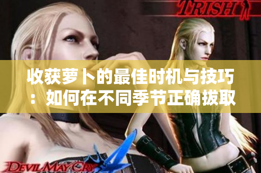 收获萝卜的最佳时机与技巧：如何在不同季节正确拔取和存储萝卜